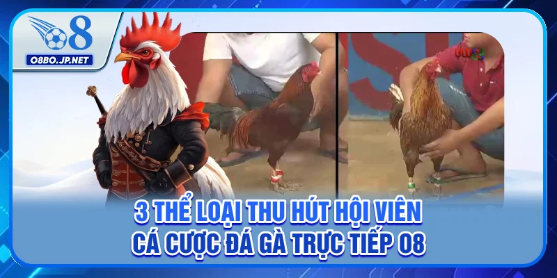 3 thể loại thu hút hội viên cá cược đá gà trực tiếp O8