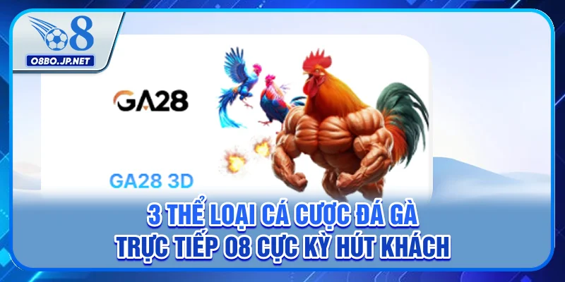 3 Thể Loại Cá Cược Đá Gà Trực Tiếp O8 Cực Kỳ Hút Khách 1 3 Thể Loại Cá Cược Đá Gà Trực Tiếp O8 Cực Kỳ Hút Khách